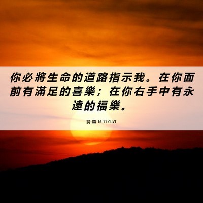 Picture 06 - 詩 篇 16:11 CUVT - 你 必 將 生 命 的 道 路 指 示 我 。 - Bible Verse Picture