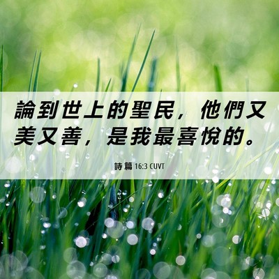 Picture 06 - 詩 篇 16:3 CUVT - 論 到 世 上 的 聖 民 ， 他 們 又 美 - Bible Verse Picture