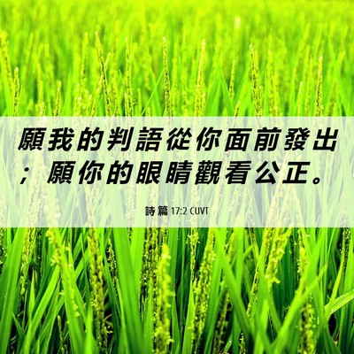 Picture 06 - 詩 篇 17:2 CUVT - 願 我 的 判 語 從 你 面 前 發 出 ； - Bible Verse Picture