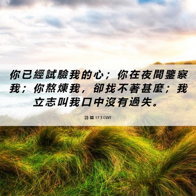 Picture 06 - 詩 篇 17:3 CUVT - 你 已 經 試 驗 我 的 心 ； 你 在 夜 - Bible Verse Picture