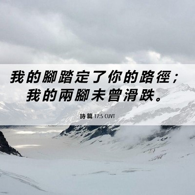 Picture 06 - 詩 篇 17:5 CUVT - 我 的 腳 踏 定 了 你 的 路 徑 ； 我 - Bible Verse Picture