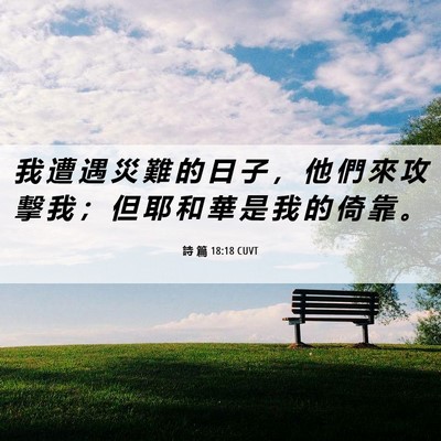 Picture 06 - 詩 篇 18:18 CUVT - 我 遭 遇 災 難 的 日 子 ， 他 們 來 - Bible Verse Picture