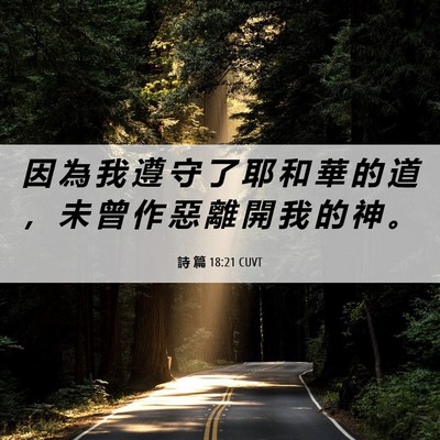 Picture 06 - 詩 篇 18:21 CUVT - 因 為 我 遵 守 了 耶 和 華 的 道 ， - Bible Verse Picture
