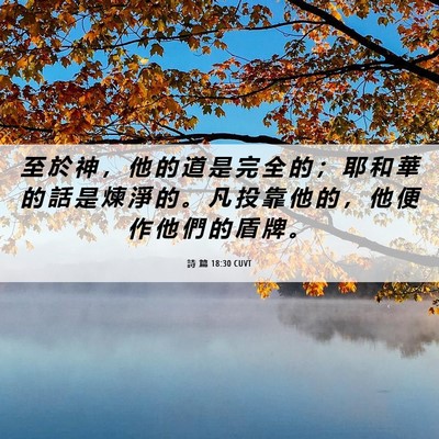 Picture 06 - 詩 篇 18:30 CUVT - 至 於 神 ， 他 的 道 是 完 全 的 ； - Bible Verse Picture