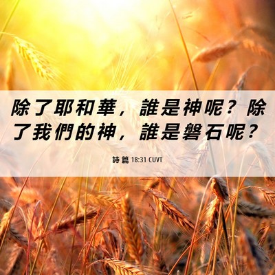 Picture 06 - 詩 篇 18:31 CUVT - 除 了 耶 和 華 ， 誰 是 神 呢 ？ 除 - Bible Verse Picture
