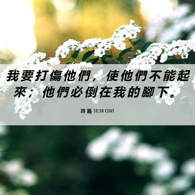Picture 06 - 詩 篇 18:38 CUVT - 我 要 打 傷 他 們 ， 使 他 們 不 能 - Bible Verse Picture