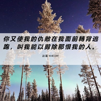 Picture 06 - 詩 篇 18:40 CUVT - 你 又 使 我 的 仇 敵 在 我 面 前 轉 - Bible Verse Picture