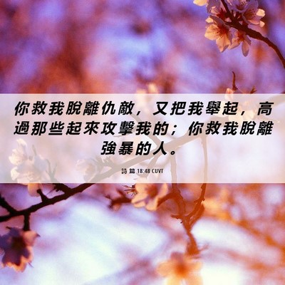 Picture 06 - 詩 篇 18:48 CUVT - 你 救 我 脫 離 仇 敵 ， 又 把 我 舉 - Bible Verse Picture