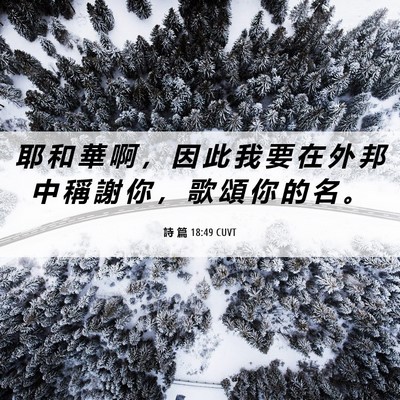 Picture 06 - 詩 篇 18:49 CUVT - 耶 和 華 啊 ， 因 此 我 要 在 外 邦 - Bible Verse Picture