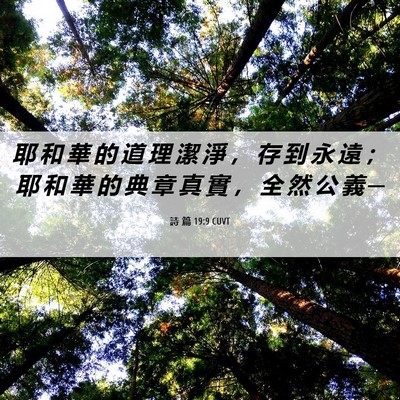 Picture 06 - 詩 篇 19:9 CUVT - 耶 和 華 的 道 理 潔 淨 ， 存 到 永 - Bible Verse Picture