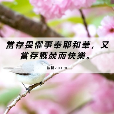 Picture 06 - 詩 篇 2:11 CUVT - 當 存 畏 懼 事 奉 耶 和 華 ， 又 當 - Bible Verse Picture