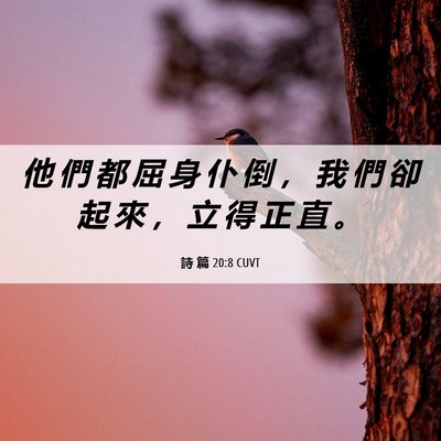 Picture 06 - 詩 篇 20:8 CUVT - 他 們 都 屈 身 仆 倒 ， 我 們 卻 起 - Bible Verse Picture