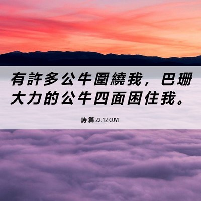 Picture 06 - 詩 篇 22:12 CUVT - 有 許 多 公 牛 圍 繞 我 ， 巴 珊 大 - Bible Verse Picture