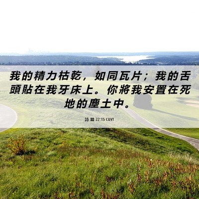 Picture 06 - 詩 篇 22:15 CUVT - 我 的 精 力 枯 乾 ， 如 同 瓦 片 ； - Bible Verse Picture