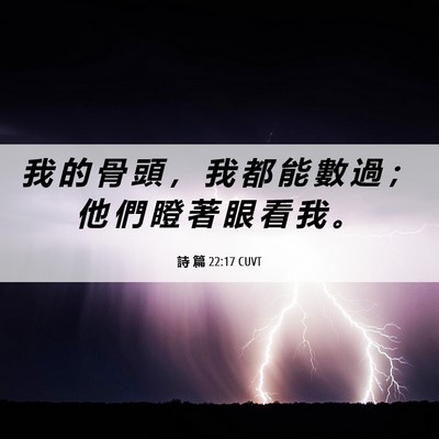 Picture 06 - 詩 篇 22:17 CUVT - 我 的 骨 頭 ， 我 都 能 數 過 ； 他 - Bible Verse Picture