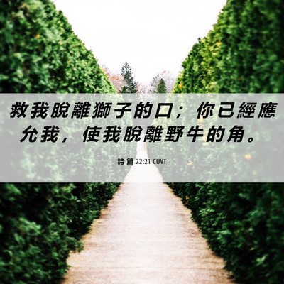 Picture 06 - 詩 篇 22:21 CUVT - 救 我 脫 離 獅 子 的 口 ； 你 已 經 - Bible Verse Picture