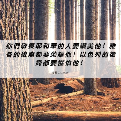 Picture 06 - 詩 篇 22:23 CUVT - 你 們 敬 畏 耶 和 華 的 人 要 讚 美 - Bible Verse Picture