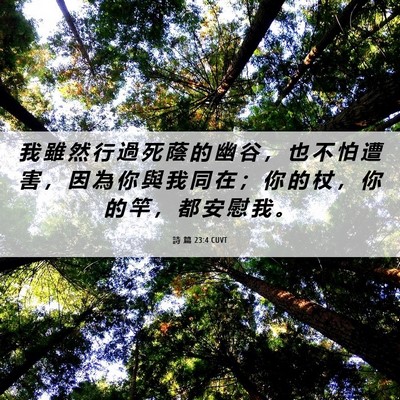 Picture 06 - 詩 篇 23:4 CUVT - 我 雖 然 行 過 死 蔭 的 幽 谷 ， 也 - Bible Verse Picture