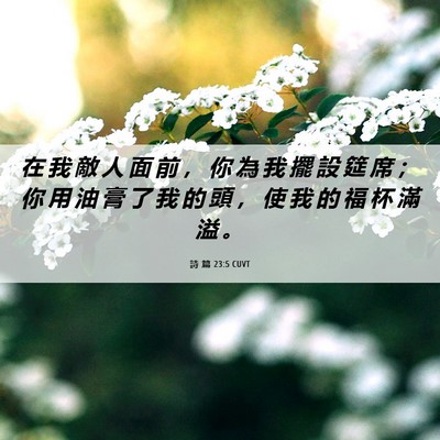 Picture 06 - 詩 篇 23:5 CUVT - 在 我 敵 人 面 前 ， 你 為 我 擺 設 - Bible Verse Picture