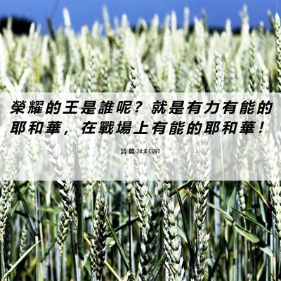 Picture 06 - 詩 篇 24:8 CUVT - 榮 耀 的 王 是 誰 呢 ？ 就 是 有 力 - Bible Verse Picture