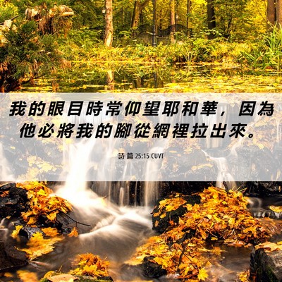 Picture 06 - 詩 篇 25:15 CUVT - 我 的 眼 目 時 常 仰 望 耶 和 華 ， - Bible Verse Picture