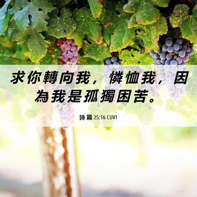 Picture 06 - 詩 篇 25:16 CUVT - 求 你 轉 向 我 ， 憐 恤 我 ， 因 為 - Bible Verse Picture