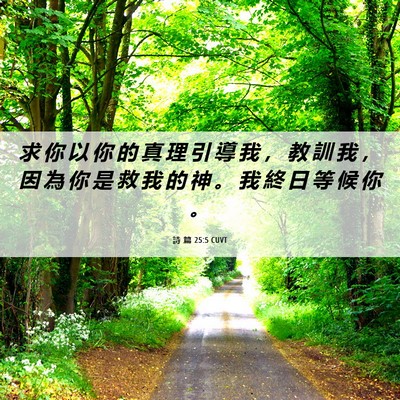 Picture 06 - 詩 篇 25:5 CUVT - 求 你 以 你 的 真 理 引 導 我 ， 教 - Bible Verse Picture