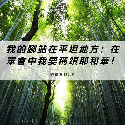 Picture 06 - 詩 篇 26:12 CUVT - 我 的 腳 站 在 平 坦 地 方 ； 在 眾 - Bible Verse Picture