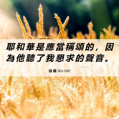 Picture 06 - 詩 篇 28:6 CUVT - 耶 和 華 是 應 當 稱 頌 的 ， 因 為 - Bible Verse Picture