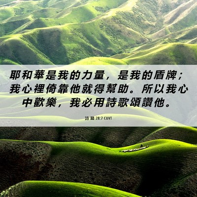 Picture 06 - 詩 篇 28:7 CUVT - 耶 和 華 是 我 的 力 量 ， 是 我 的 - Bible Verse Picture