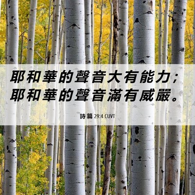 Picture 06 - 詩 篇 29:4 CUVT - 耶 和 華 的 聲 音 大 有 能 力 ； 耶 - Bible Verse Picture