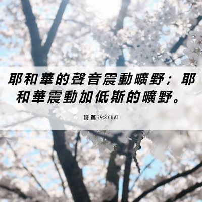 Picture 06 - 詩 篇 29:8 CUVT - 耶 和 華 的 聲 音 震 動 曠 野 ； 耶 - Bible Verse Picture