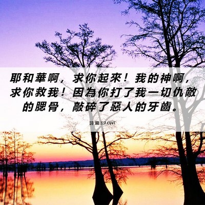 Picture 06 - 詩 篇 3:7 CUVT - 耶 和 華 啊 ， 求 你 起 來 ！ 我 的 - Bible Verse Picture