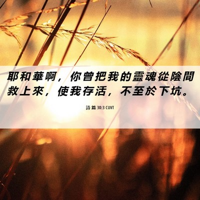 Picture 06 - 詩 篇 30:3 CUVT - 耶 和 華 啊 ， 你 曾 把 我 的 靈 魂 - Bible Verse Picture