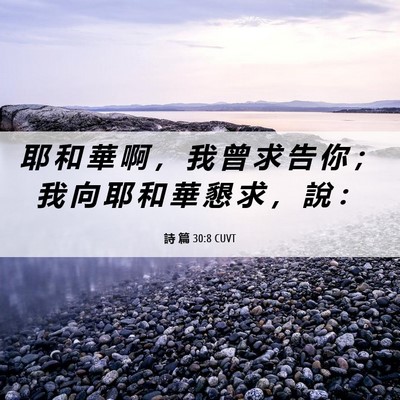 Picture 06 - 詩 篇 30:8 CUVT - 耶 和 華 啊 ， 我 曾 求 告 你 ； 我 - Bible Verse Picture