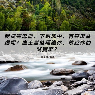 Picture 06 - 詩 篇 30:9 CUVT - 我 被 害 流 血 ， 下 到 坑 中 ， 有 - Bible Verse Picture
