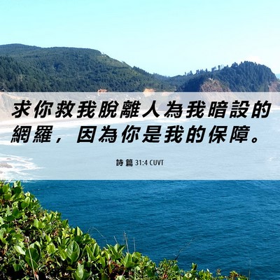 Picture 06 - 詩 篇 31:4 CUVT - 求 你 救 我 脫 離 人 為 我 暗 設 的 - Bible Verse Picture