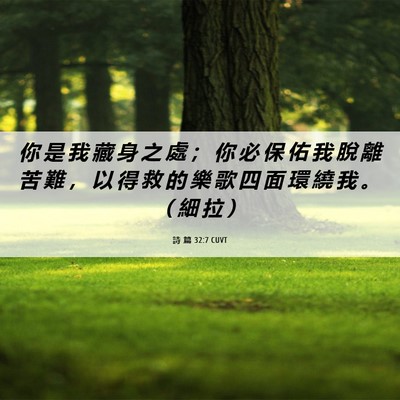 Picture 06 - 詩 篇 32:7 CUVT - 你 是 我 藏 身 之 處 ； 你 必 保 佑 - Bible Verse Picture