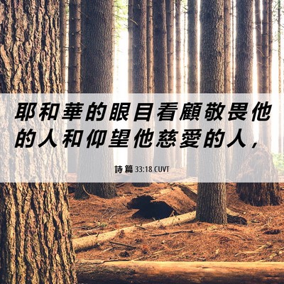 Picture 06 - 詩 篇 33:18 CUVT - 耶 和 華 的 眼 目 看 顧 敬 畏 他 的 - Bible Verse Picture