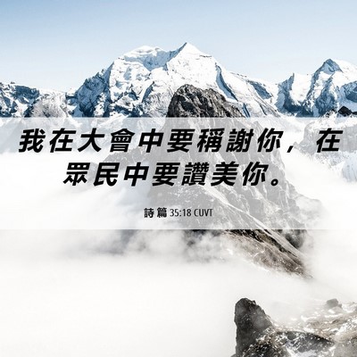 Picture 06 - 詩 篇 35:18 CUVT - 我 在 大 會 中 要 稱 謝 你 ， 在 眾 - Bible Verse Picture