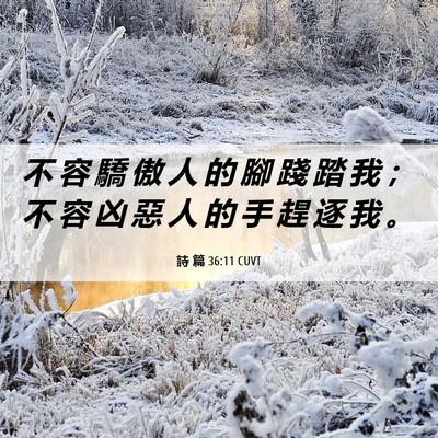 Picture 06 - 詩 篇 36:11 CUVT - 不 容 驕 傲 人 的 腳 踐 踏 我 ； 不 - Bible Verse Picture