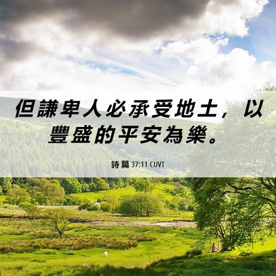 Picture 06 - 詩 篇 37:11 CUVT - 但 謙 卑 人 必 承 受 地 土 ， 以 豐 - Bible Verse Picture