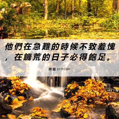Picture 06 - 詩 篇 37:19 CUVT - 他 們 在 急 難 的 時 候 不 致 羞 愧 - Bible Verse Picture