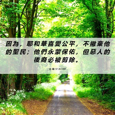 Picture 06 - 詩 篇 37:28 CUVT - 因 為 ， 耶 和 華 喜 愛 公 平 ， 不 - Bible Verse Picture