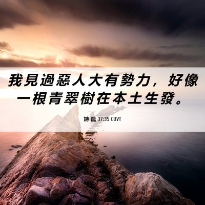 Picture 06 - 詩 篇 37:35 CUVT - 我 見 過 惡 人 大 有 勢 力 ， 好 像 - Bible Verse Picture