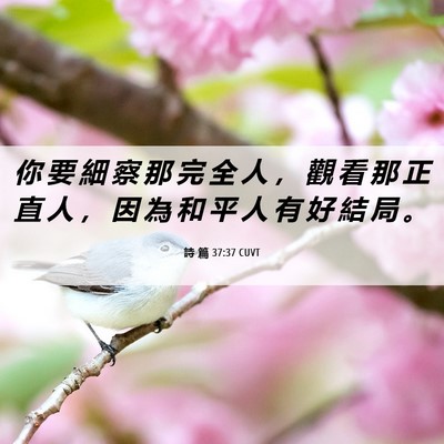 Picture 06 - 詩 篇 37:37 CUVT - 你 要 細 察 那 完 全 人 ， 觀 看 那 - Bible Verse Picture