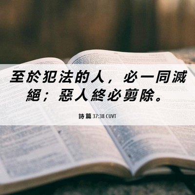 Picture 06 - 詩 篇 37:38 CUVT - 至 於 犯 法 的 人 ， 必 一 同 滅 絕 - Bible Verse Picture