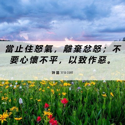 Picture 06 - 詩 篇 37:8 CUVT - 當 止 住 怒 氣 ， 離 棄 忿 怒 ； 不 - Bible Verse Picture