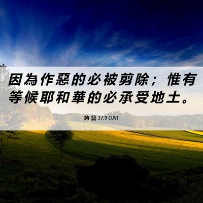 Picture 06 - 詩 篇 37:9 CUVT - 因 為 作 惡 的 必 被 剪 除 ； 惟 有 - Bible Verse Picture