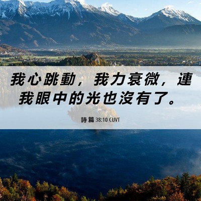 Picture 06 - 詩 篇 38:10 CUVT - 我 心 跳 動 ， 我 力 衰 微 ， 連 我 - Bible Verse Picture